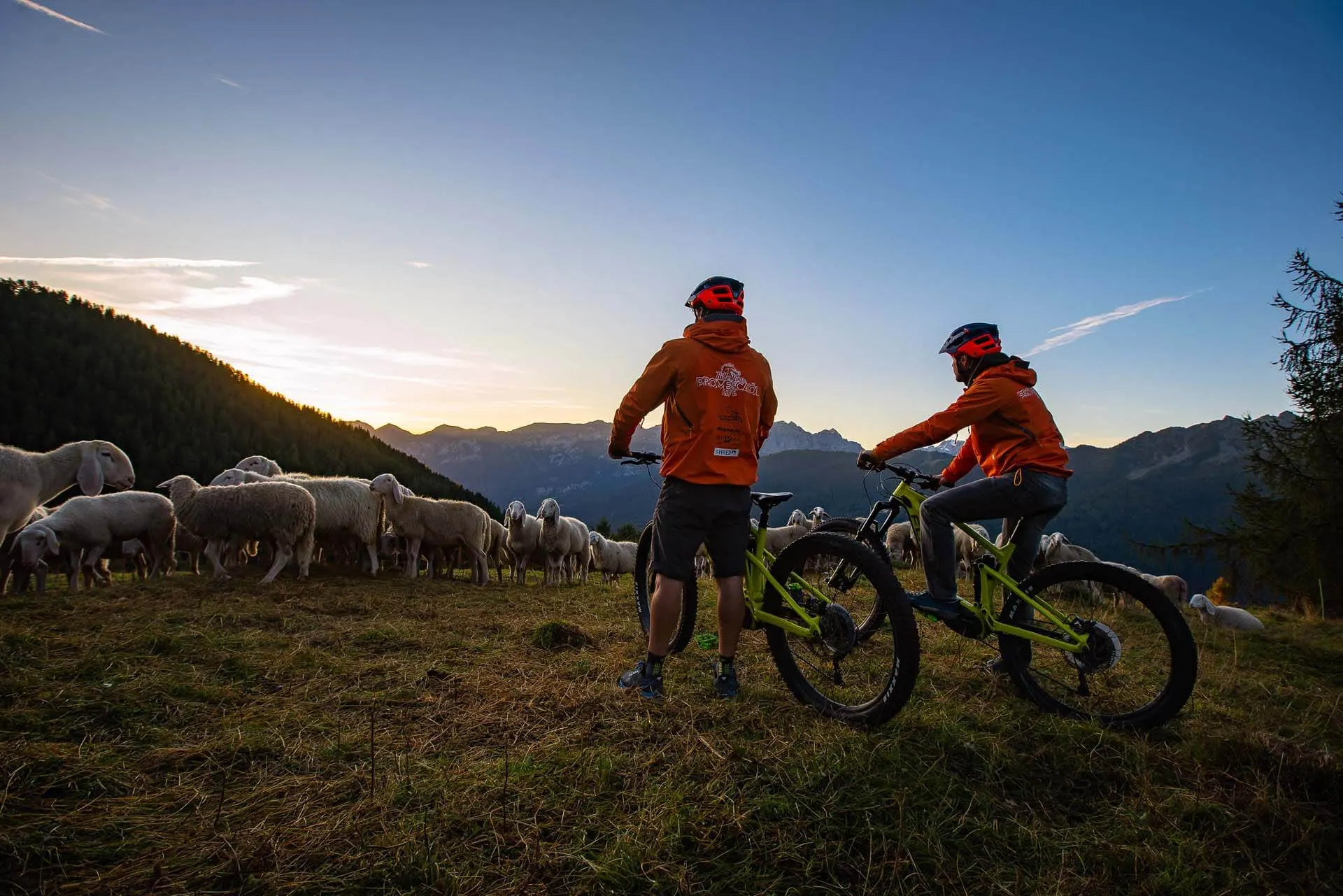 Immagine senza descrizione