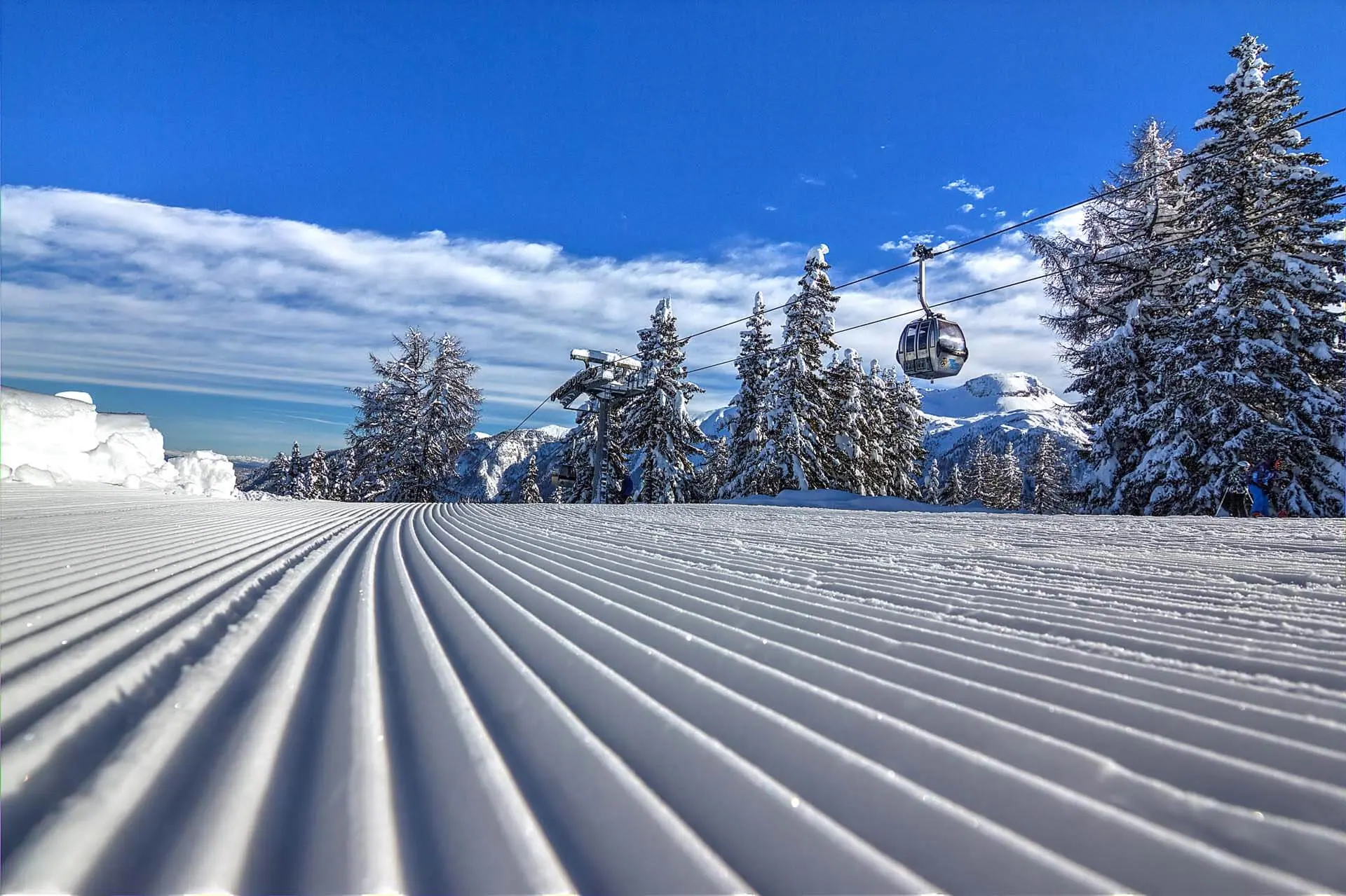 Immagine senza descrizione