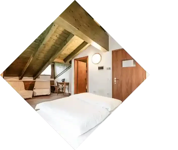 Immagine senza descrizione