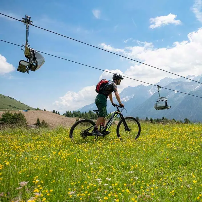 Immagine senza descrizione