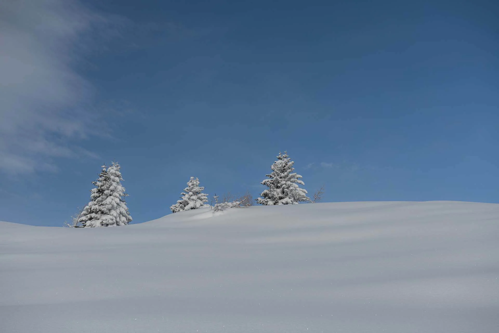 Immagine senza descrizione